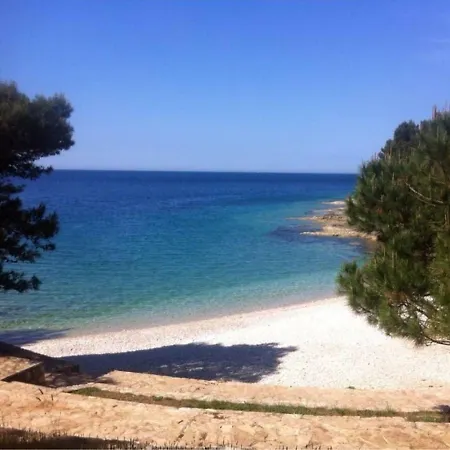 Enni 1 Pula